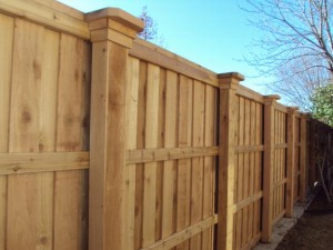 fence